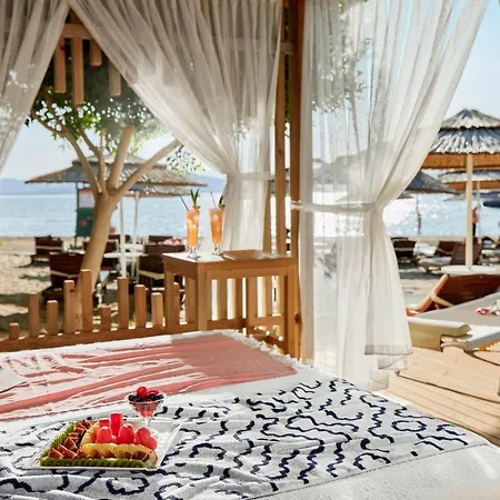 Tui Blue Seno 4*